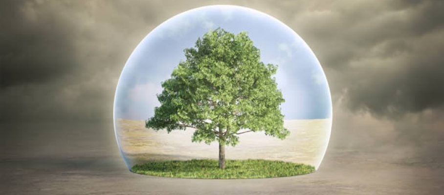 Environmental-awareness-and-training